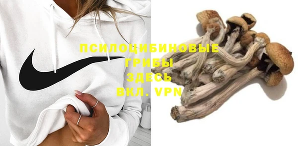 крисы Снежинск