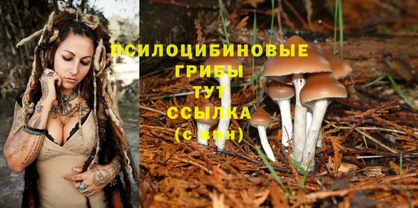 крисы Снежинск